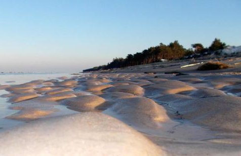 Apartamenty Holender House Choczewo 6 plaż w zasięgu - Foto 75