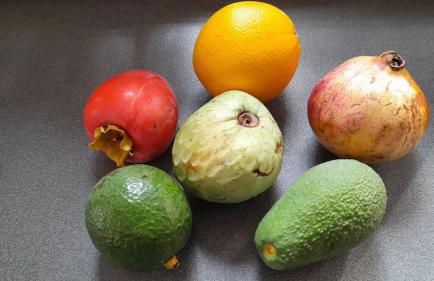 Between Beach & Center - Photo 41