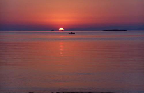 Armonia Houses - Photo 37