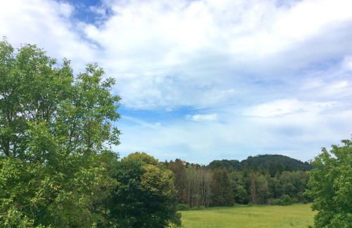 Ferienwohnung Hofbauer - Foto 5