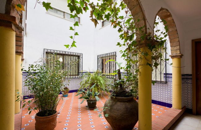 AFAN Granada - Foto 23