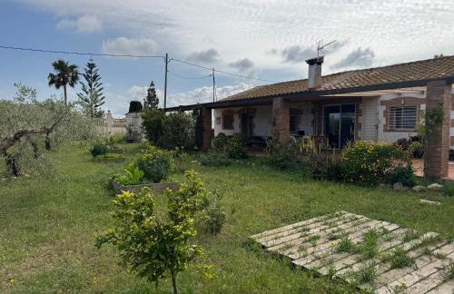 Masia en el Delta del Ebro - Foto 6