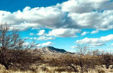 The Overlook at Chiricahua National - Foto 45