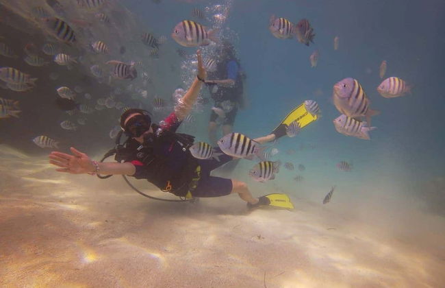 Mergulho na Isla Catalina - Foto 7