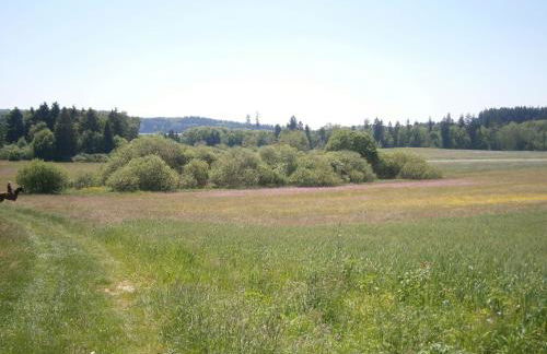 Landhüsli Illmensee - Foto 29