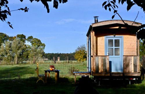 Autarker Schäferwagen mit Kamin ganzjährig nutzbar - Foto 2