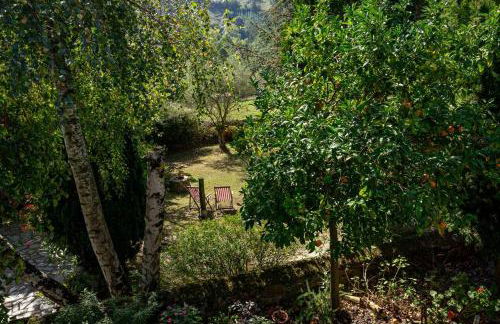 El Jardín Escondido de Helgueras - Foto 49