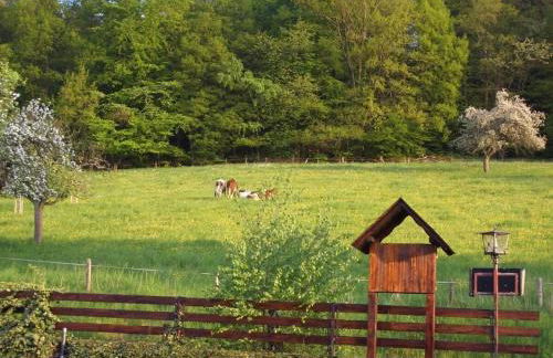 Haus Fernblick Apartment 1 - Photo 14