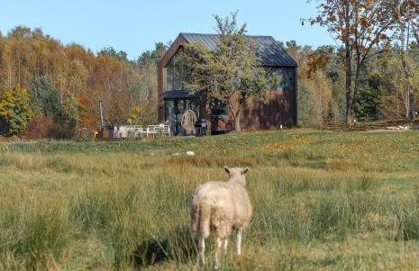 Vilanovka - domki z prywatną balią przy stawie i lesie - Foto 10