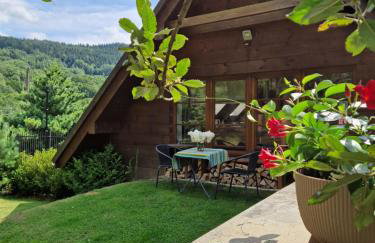 Garden Apartament Kurnik - Foto 11