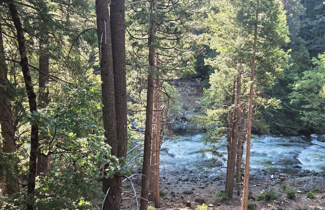 Yuba River Inn - Foto 26