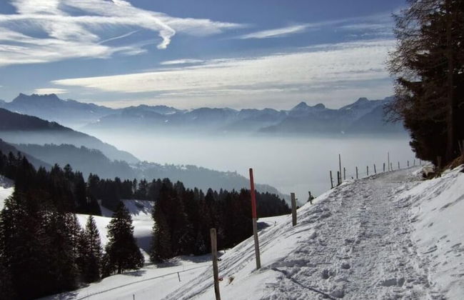 La Vigneronne, Tuin - Foto 5