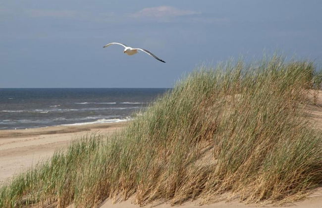 Apartment in Noordwijk Near Beach - Foto 30