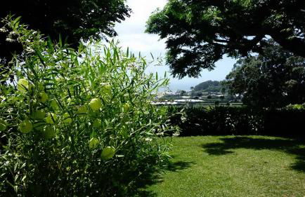 Quinta das Bolas - Photo 68