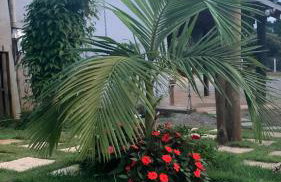 Chácara Recanto da Paz - Photo 79