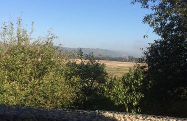 Ferienwohnung Saaletalblick - Foto 45