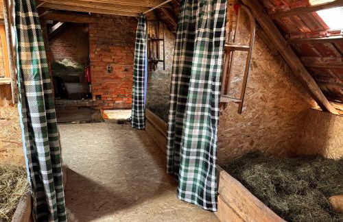 Heu-Koje Free WiFi Schlafsack - Foto 12