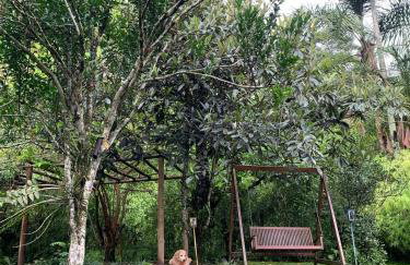 Sítio Espatódea - Foto 71