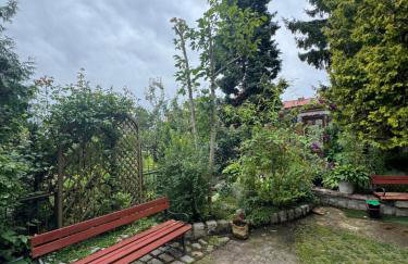 Pokoje pod winogronami - Foto 8