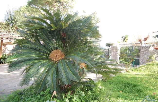 Torre Turbolo - Foto 3