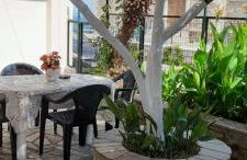 Γοργονα - Foto 7