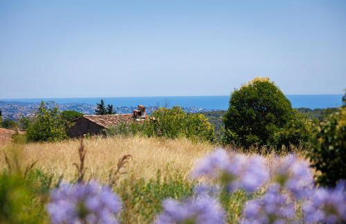 Maison Canorgues - Foto 17