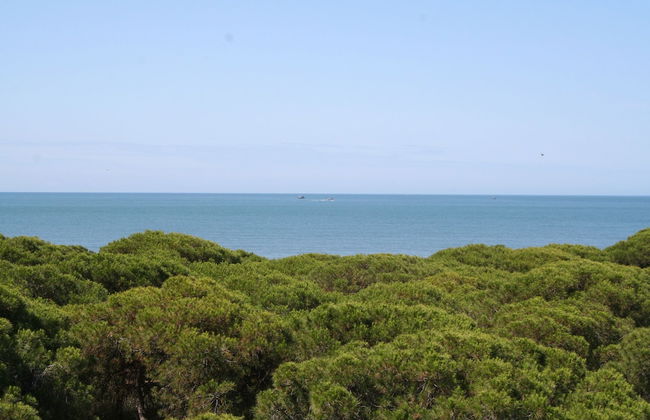 Vime Islantilla - Photo 28