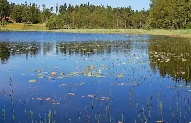 Holiday Home in Mellerud - Foto 8