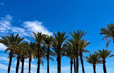 Casa Noyas Oasis Beach - Foto 77