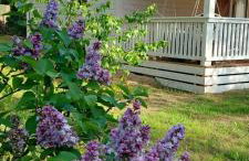 Bullerbyn na Kaszubach - Foto 23