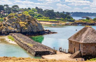 Gîte Ailes & Îles - Photo 20