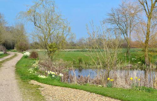 Honeypot Cottage - Photo 4