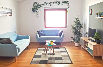Apartman 13 - Photo 1