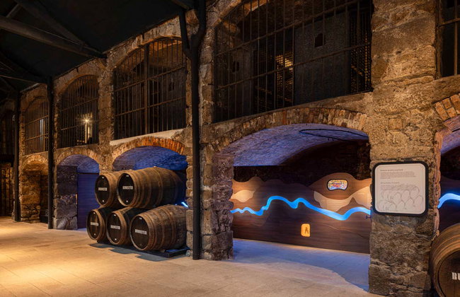 Visita a la bodega Burmester - Foto 4