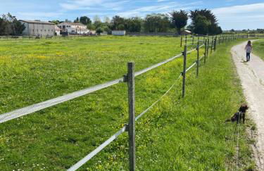 La Fleur des Marais - Maison tout confort au calme, grand jardin & balançoire - Foto 37