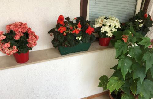 Apartment Lucija - Photo 17