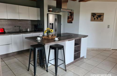 Splendide gîte La Tour Blanche 12min du Puy du Fou - Foto 14