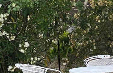 Zante Star Summer House - Photo 23