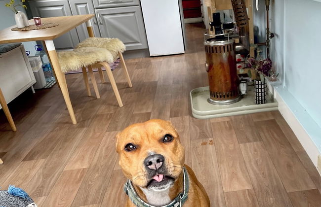 5 Star Stunning Houseboat, no Experience Required! Enjoy the Most Romantic Trip! - Foto 15