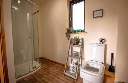 2 Bed in Llandrindod Wells oc-88203 - Foto 13