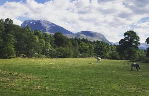 Equinox Cabin - Photo 19