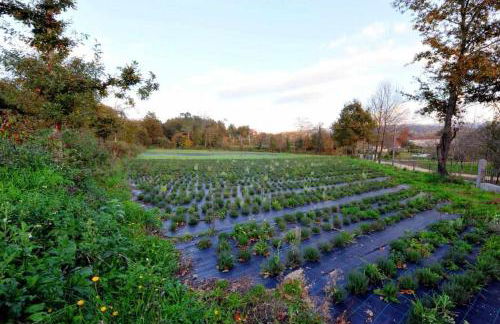 Casas do Ermo - Ermo Villas - Foto 19