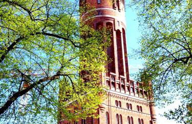 Haus Osterwiese - Foto 19