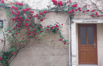 Les Hortensias studio Rez de chaussée - Foto 2