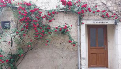 Les Hortensias studio Rez de chaussée - Foto 2