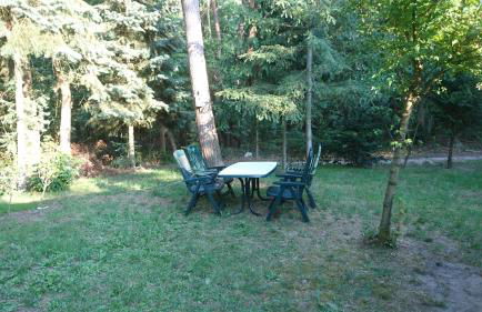 Waldhaus Halvor - Foto 10