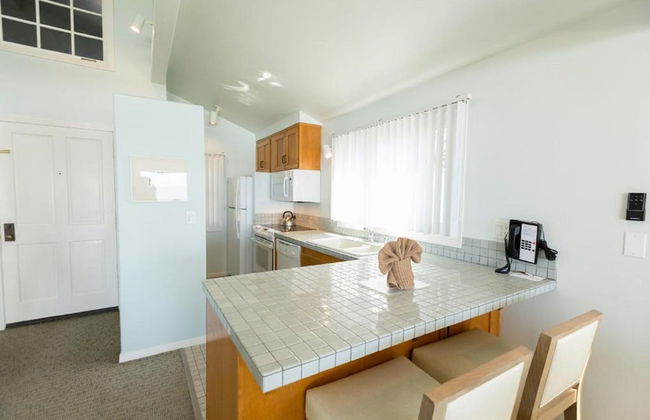 Wave Crest at Del Mar - Photo 5