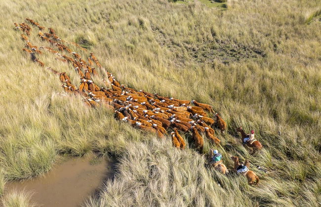 Estancia San Agustín - Foto 21