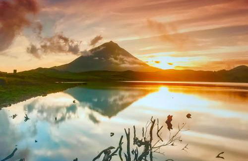 Adega da Prainha - Photo 36