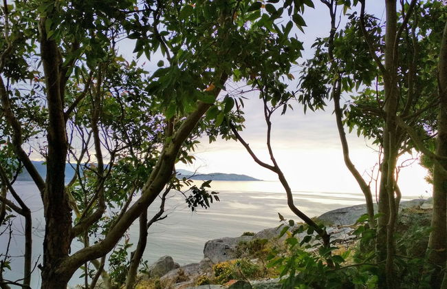 Casa de Verdes - In Cabana de Bergantinos - Photo 85